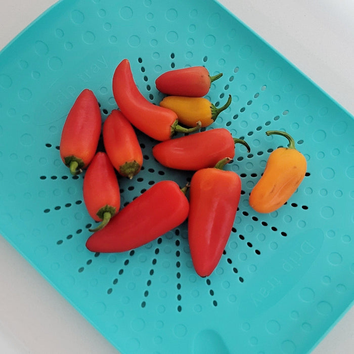 Flat Sink Colander