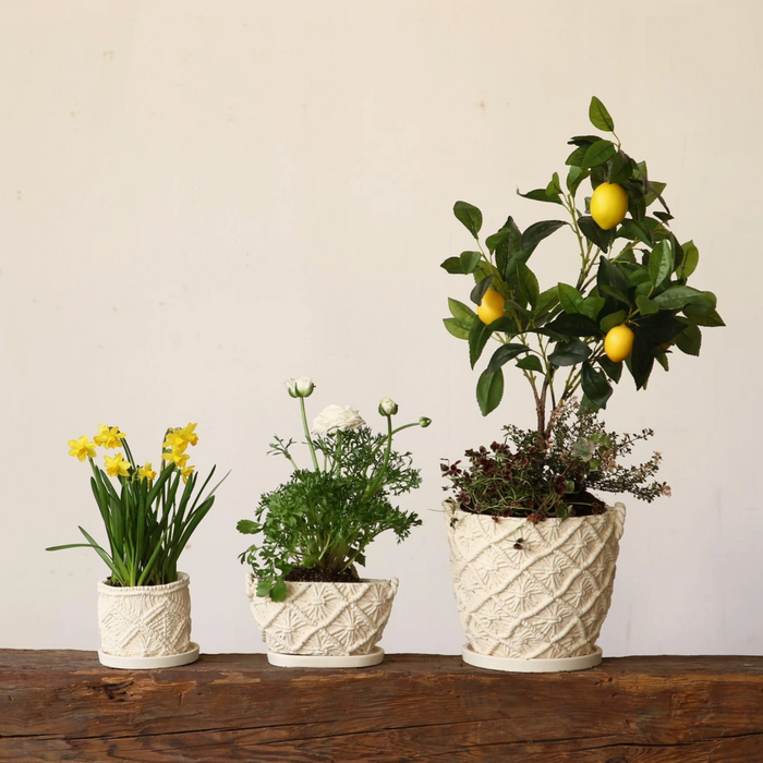 Macrame Rope Planter