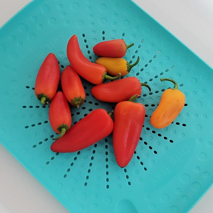 Flat Sink Colander