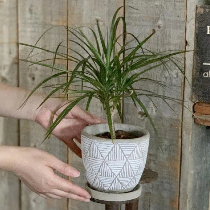 Triangle Cement Planter