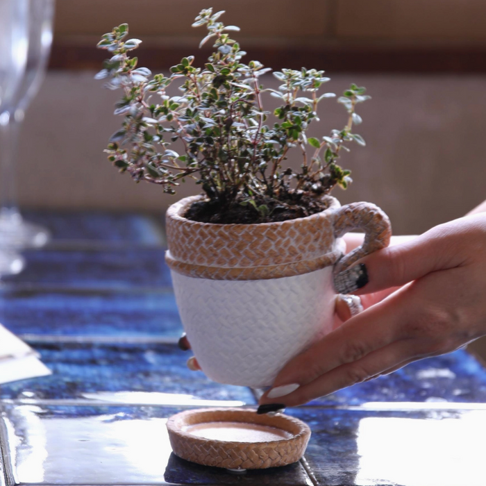 Mediterranean Teacup Rope Planter