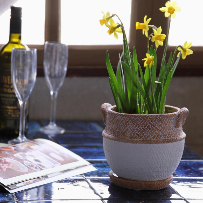 Mediterranean Rope Planter, Small