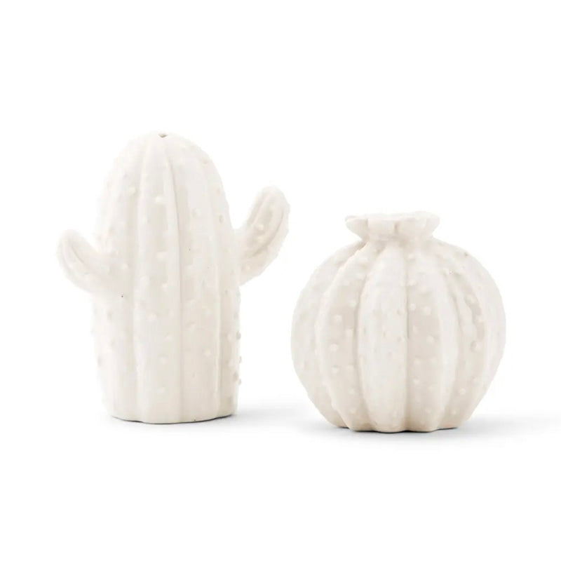 Cactus Salt & Pepper Shaker Set - [Home_Williams]