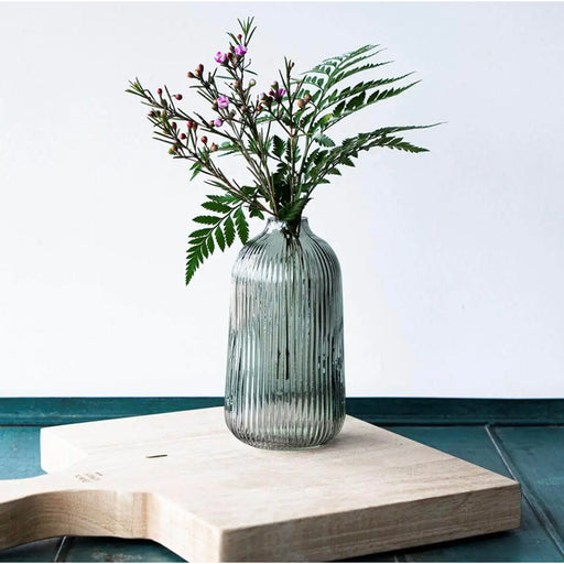 Eucalyptus Glass Vase - [Home_Williams]
