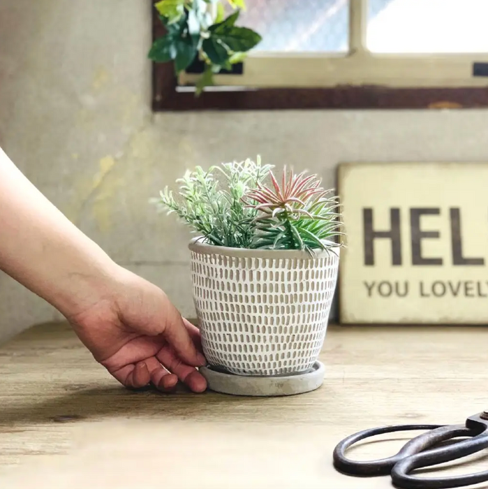 Cement Dot Planter - [Home_Williams]