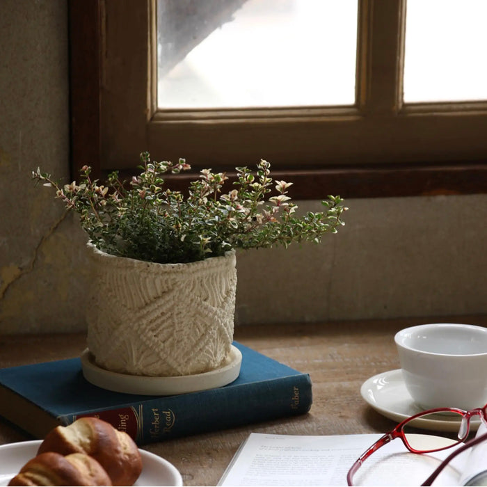 Cut Rope Planter - [Home_Williams]