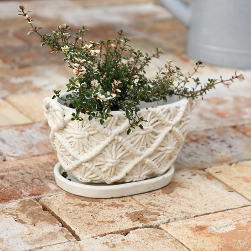 Oval Rope Planter - [Home_Williams]