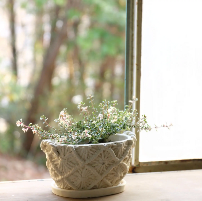 Oval Rope Planter - [Home_Williams]