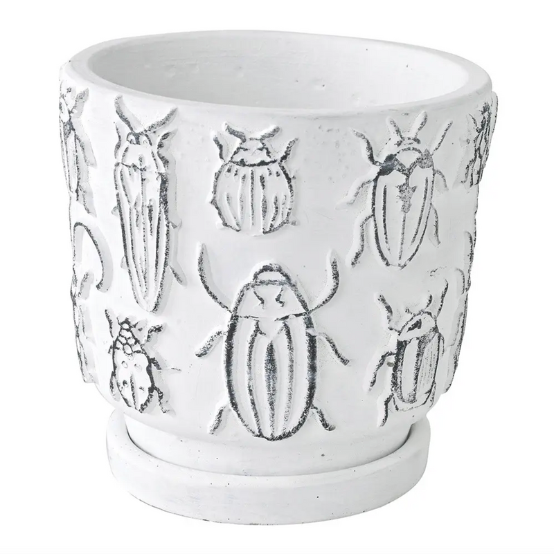Cement Insect Planter - [Home_Williams]