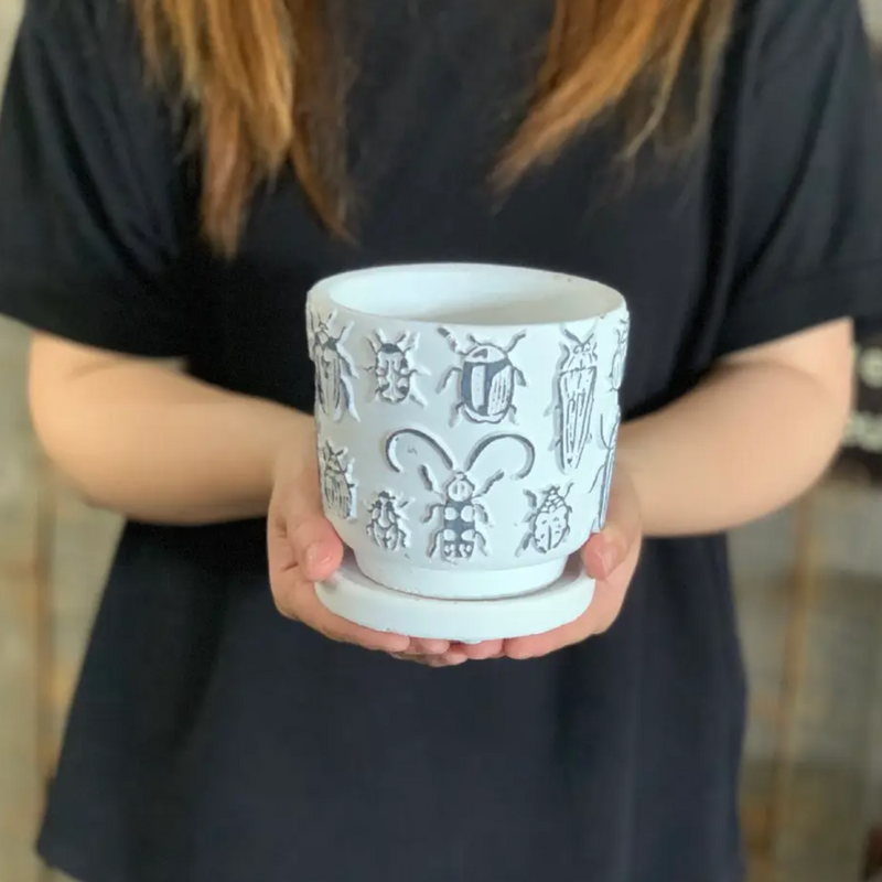 Cement Insect Planter - [Home_Williams]