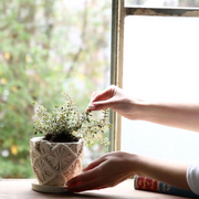 Rope Planter - [Home_Williams]