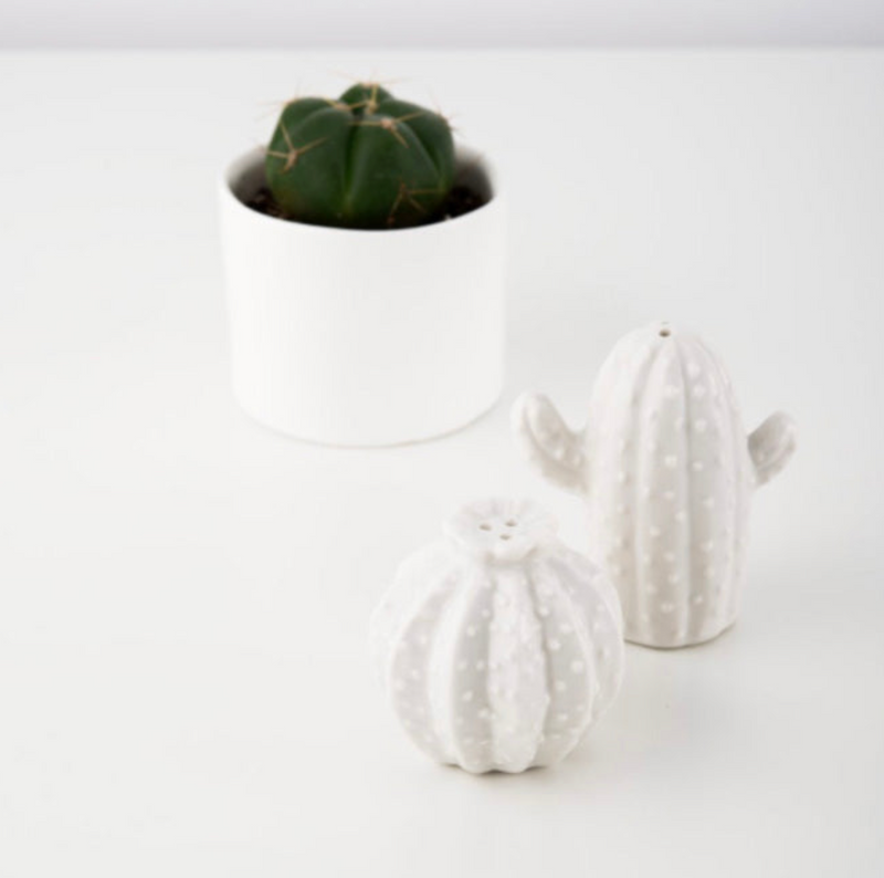 Cactus Salt & Pepper Shaker Set - [Home_Williams]