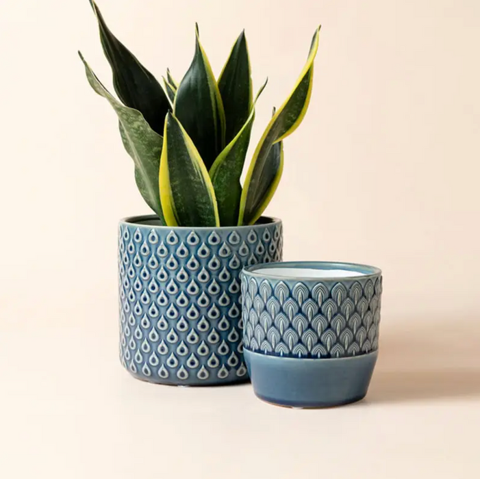 Muticus Blue Planters, Set of 2