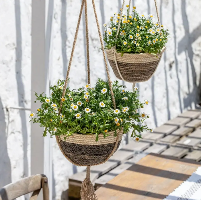 Brown Vanilla Hanging Planter Pots, Set of 2