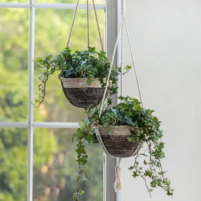 Brown Vanilla Hanging Planter Pots, Set of 2