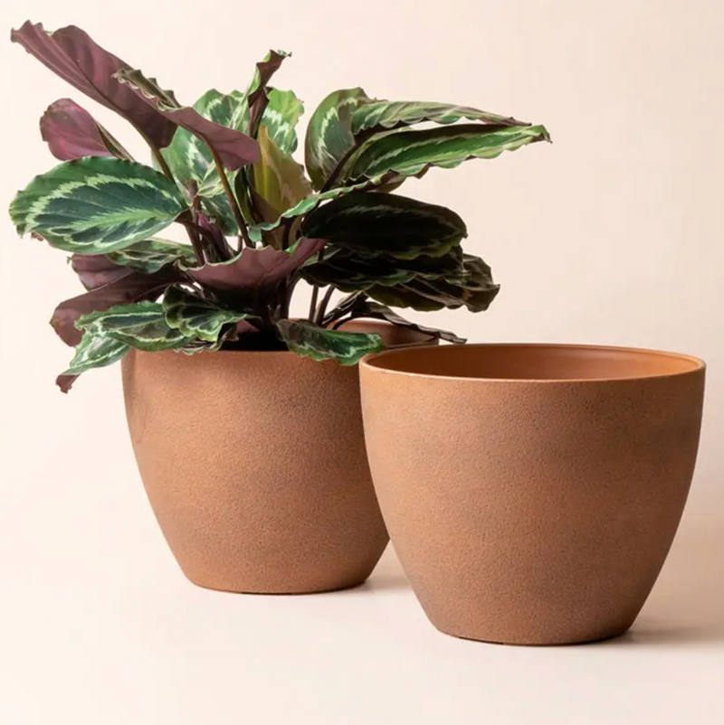 Terracotta Planters, Set of 2