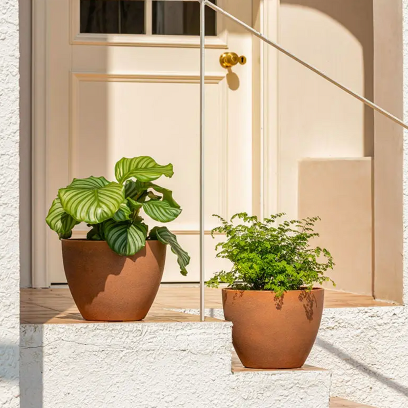 Terracotta Planters, Set of 2